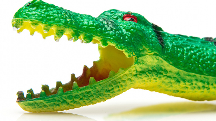 Video: Writer Andrew Keatley introduces Alligators
