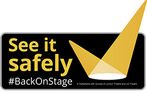 See it safely logo small H2