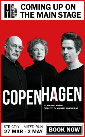 Copenhagen MPU 500x800px new artwork