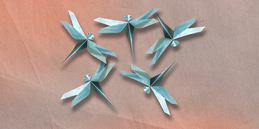 DRAGONFLIES
