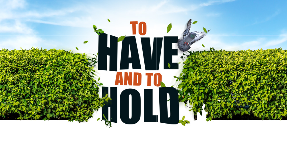 TO HAVE AND TO HOLD - Inside No 9 To Have And To Hold